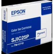 Epson SJIC25P nero Cartuccia d'inchiostro (C33S020591)