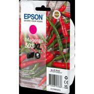 Epson 503 XL magenta Cartuccia d'inchiostro (C13T09R34010)