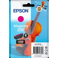 Epson 250 magenta Cartuccia d'inchiostro (C13T16N34010)
