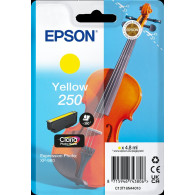 Epson 250 giallo Cartuccia d'inchiostro (C13T16N44010)