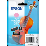 Epson 250 Cartuccia d'inchiostro (C13T16N64010)