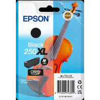 Epson 250 XL nero Cartuccia d'inchiostro (C13T16P14010)