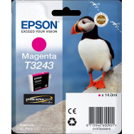 Epson T3243 magenta Cartuccia d'inchiostro (C13T32434010)
