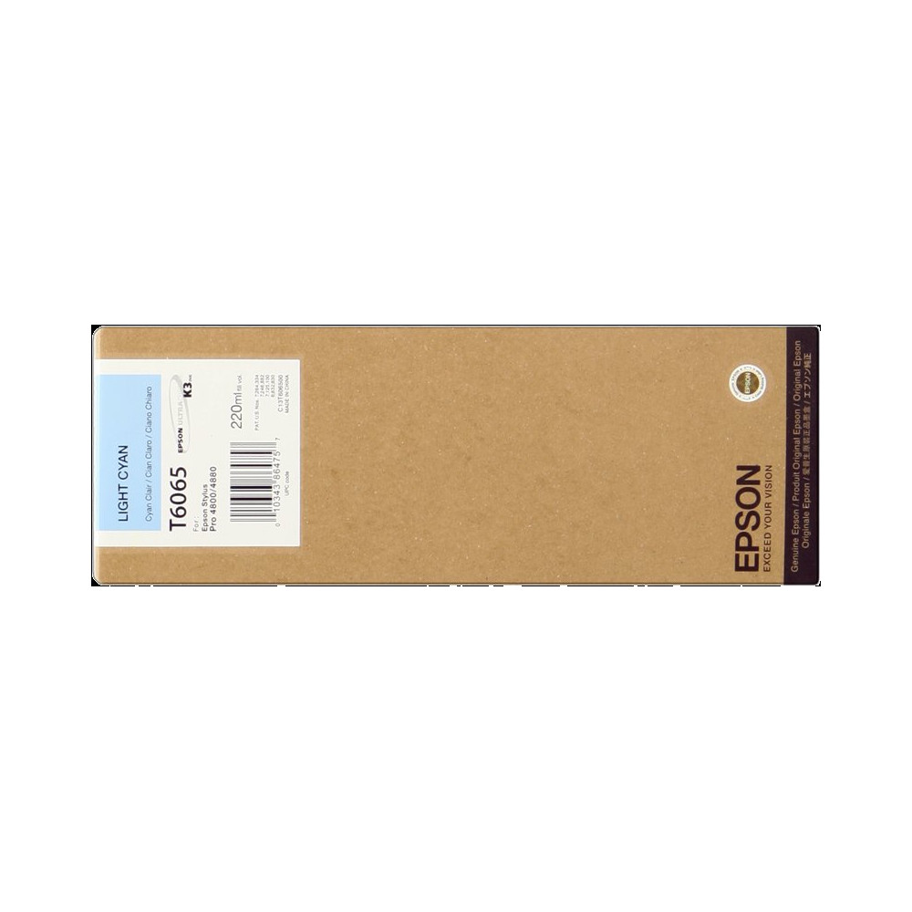 Epson T6065 ciano (chiaro) Cartuccia d'inchiostro (C13T606500)